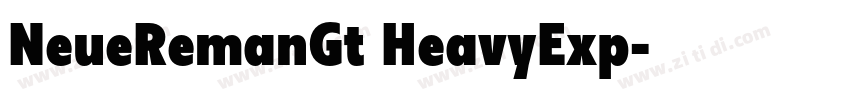 NeueRemanGt HeavyExp字体转换